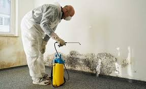  North New Hyde Park, NY Mold Removal Pros